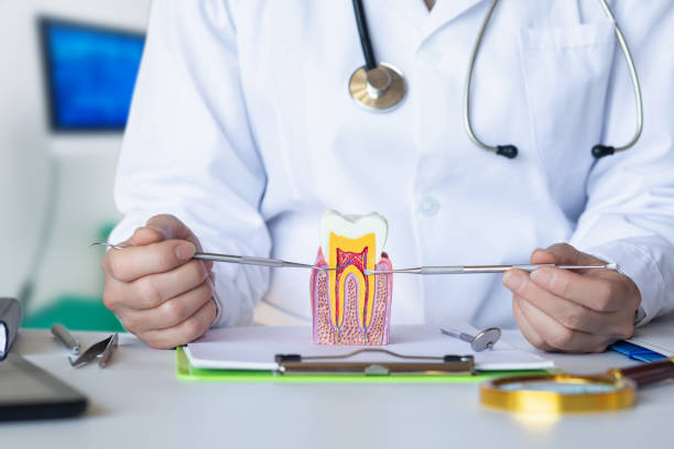 Best Emergency Treatment for Dental Infections or Abscesses in Mammoth Spring, AR